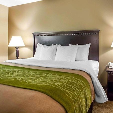 Comfort Inn Edison - New Brunswick Kültér fotó